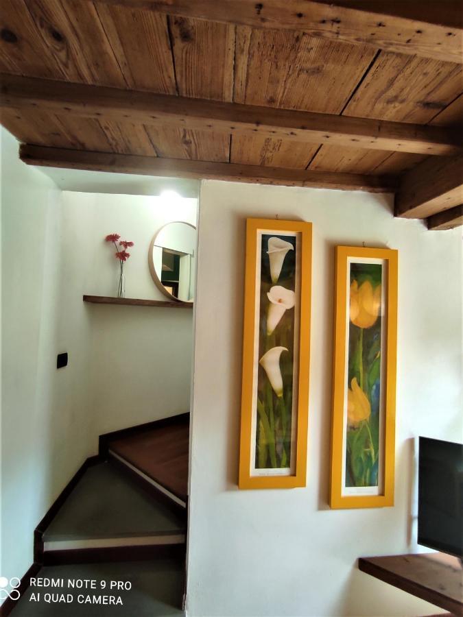 Careggi Garden Apartment فلورنس المظهر الخارجي الصورة